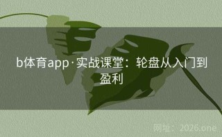 b体育app·实战课堂：轮盘从入门到盈利