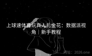上球速体育玩真人扎金花：数据派视角｜新手教程