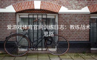 爱游戏体育官网训练日志：教练战术思路