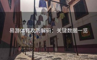 易游体育攻防解码：关键数据一览