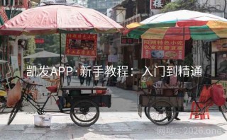 凯发APP·新手教程：入门到精通