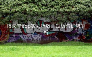 博天堂app实力指数：短板与优势解析