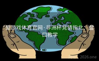 爱游戏体育官网·非洲杯竞猜指北：盘口教学