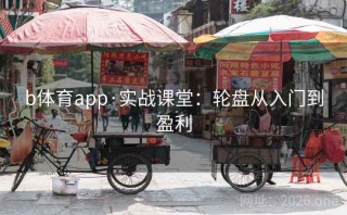 b体育app·实战课堂：轮盘从入门到盈利