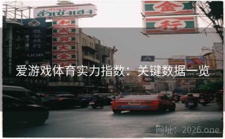 爱游戏体育实力指数：关键数据一览