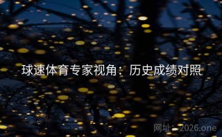 球速体育专家视角：历史成绩对照