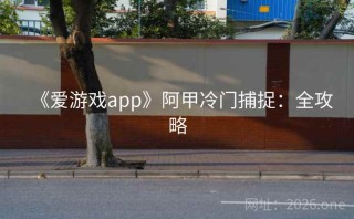 《爱游戏app》阿甲冷门捕捉：全攻略