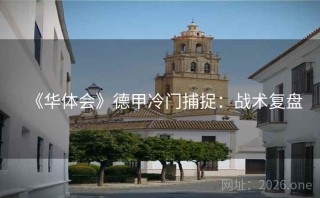 《华体会》德甲冷门捕捉：战术复盘