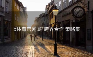 b体育官网 的 跨界合作 策略集