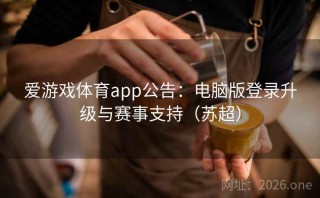 爱游戏体育app公告：电脑版登录升级与赛事支持（苏超）