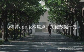 b体育app版本焦点：关键数据一览