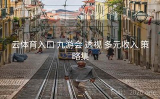 云体育入口 九游会 透视 多元收入 策略集