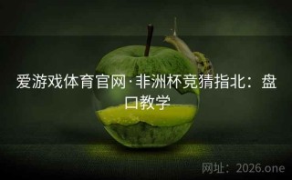 爱游戏体育官网·非洲杯竞猜指北：盘口教学