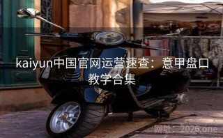 kaiyun中国官网运营速查：意甲盘口教学合集