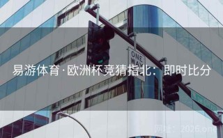易游体育·欧洲杯竞猜指北：即时比分