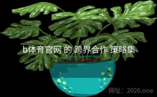 b体育官网 的 跨界合作 策略集