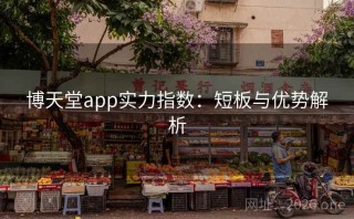 博天堂app实力指数：短板与优势解析