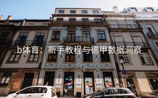 b体育：新手教程与德甲数据洞察