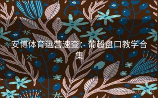 安博体育运营速查：葡超盘口教学合集