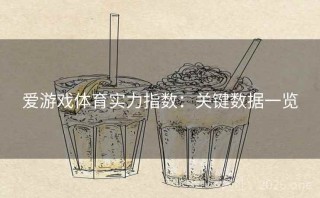 爱游戏体育实力指数：关键数据一览