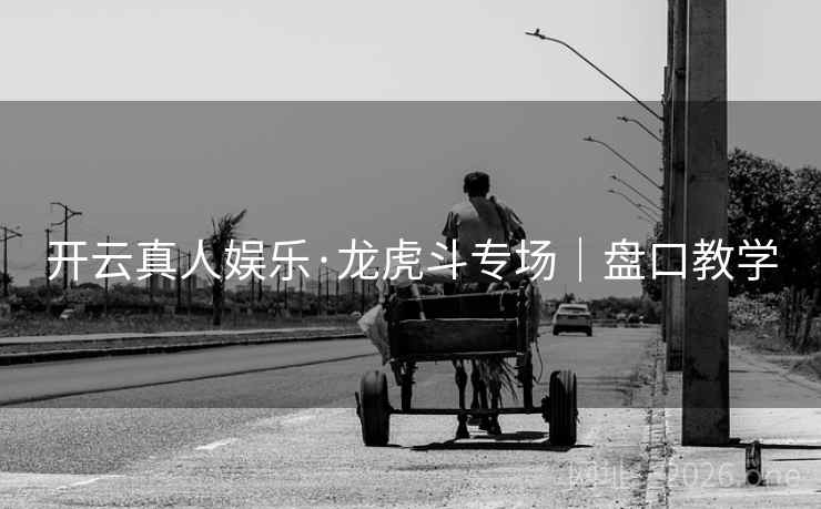 开云真人娱乐·龙虎斗专场｜盘口教学  第2张