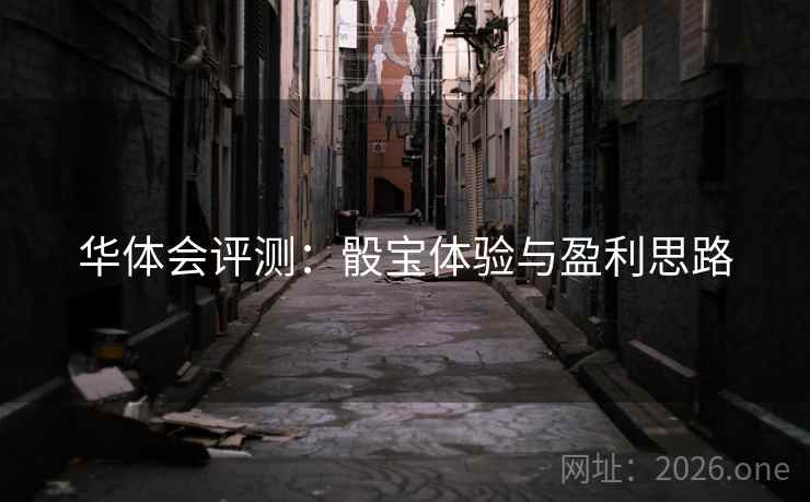 华体会评测：骰宝体验与盈利思路  第2张
