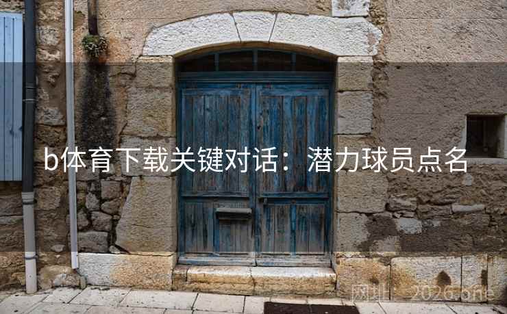 b体育下载关键对话：潜力球员点名  第2张