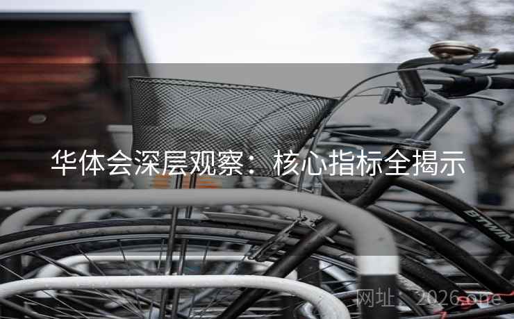 华体会深层观察：核心指标全揭示  第2张