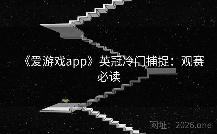 《爱游戏app》英冠冷门捕捉：观赛必读  第2张