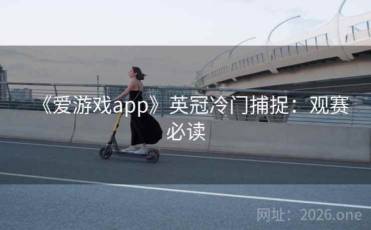 《爱游戏app》英冠冷门捕捉：观赛必读  第1张