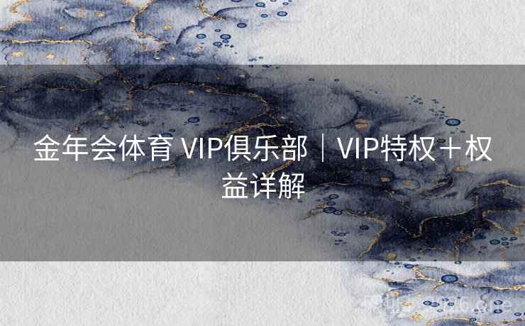 金年会体育 VIP俱乐部｜VIP特权＋权益详解  第1张