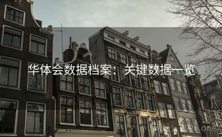 华体会数据档案：关键数据一览  第2张