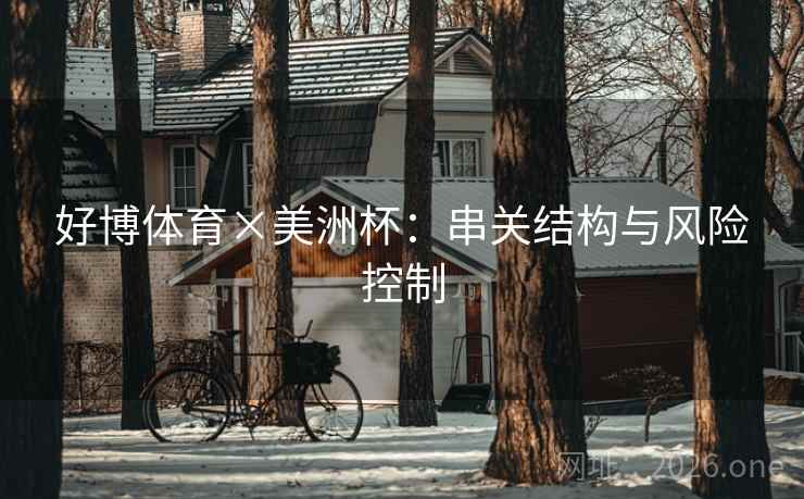 好博体育×美洲杯：串关结构与风险控制  第2张