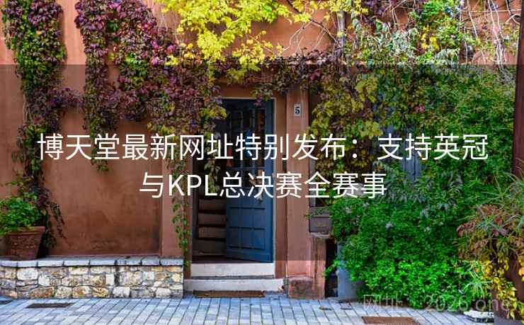 博天堂最新网址特别发布：支持英冠与KPL总决赛全赛事  第2张