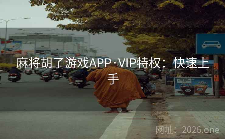 麻将胡了游戏APP·VIP特权：快速上手  第2张