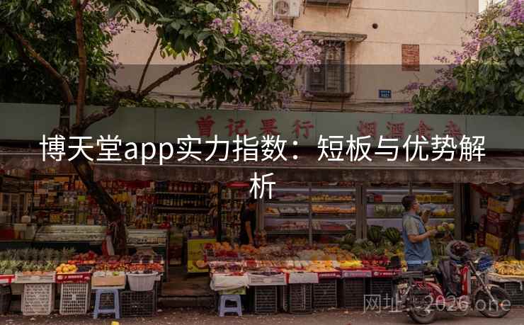 博天堂app实力指数：短板与优势解析  第1张