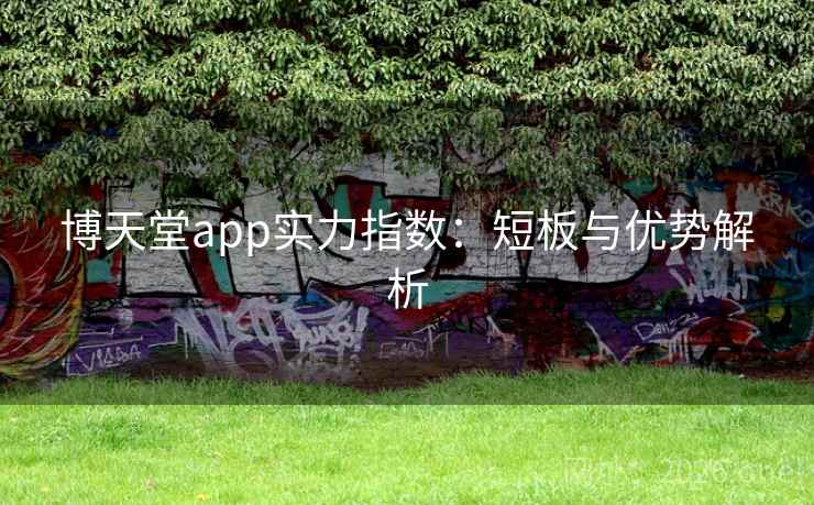 博天堂app实力指数：短板与优势解析  第2张