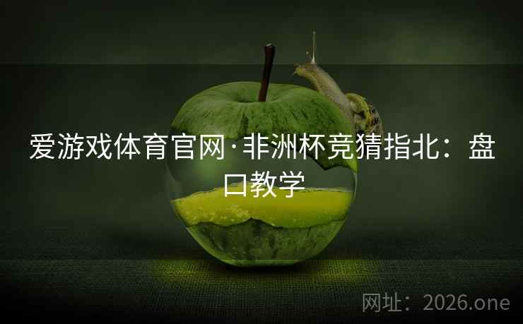 爱游戏体育官网·非洲杯竞猜指北：盘口教学  第2张