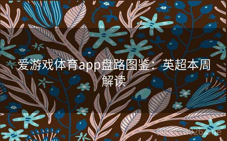 爱游戏体育app盘路图鉴：英超本周解读  第2张