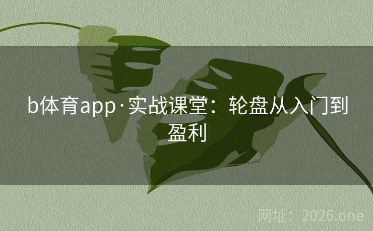 b体育app·实战课堂：轮盘从入门到盈利  第2张