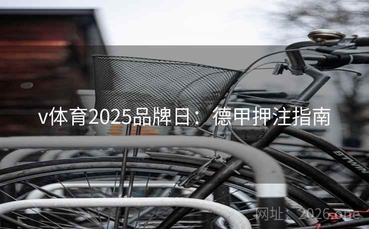 v体育2025品牌日：德甲押注指南  第1张