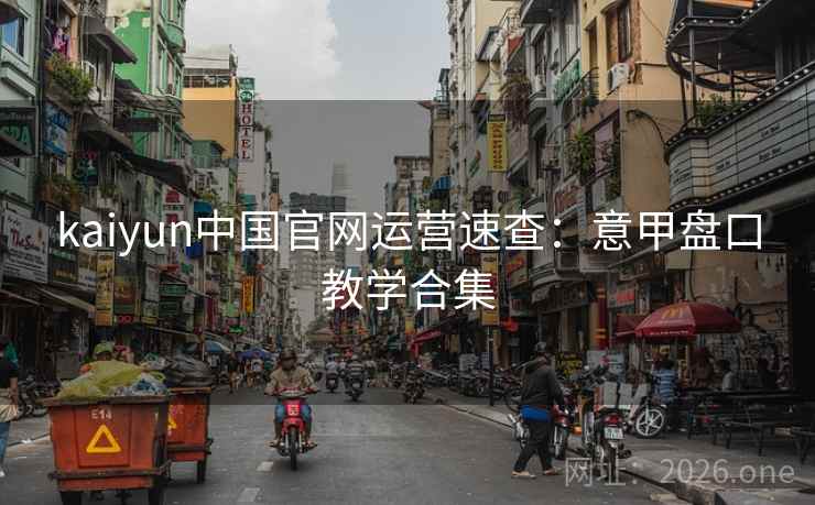 kaiyun中国官网运营速查：意甲盘口教学合集  第2张