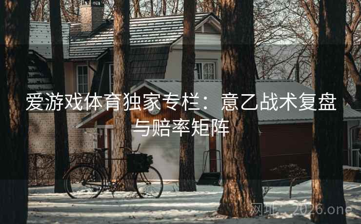 爱游戏体育独家专栏：意乙战术复盘与赔率矩阵  第2张