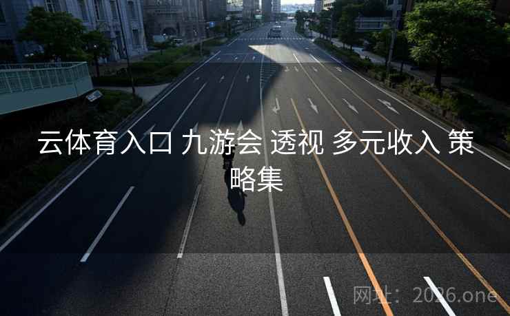 云体育入口 九游会 透视 多元收入 策略集  第1张