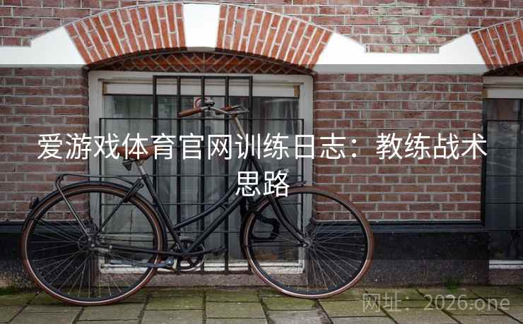 爱游戏体育官网训练日志：教练战术思路  第2张