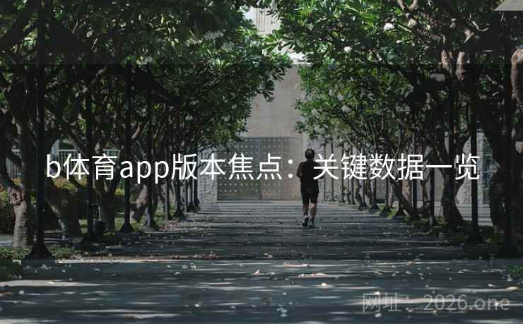 b体育app版本焦点：关键数据一览  第1张