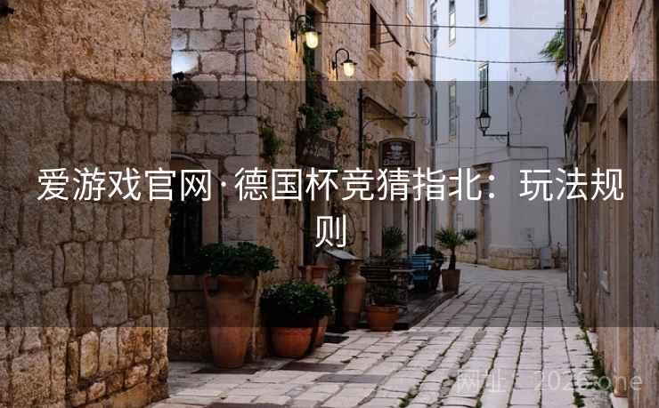 爱游戏官网·德国杯竞猜指北：玩法规则  第2张