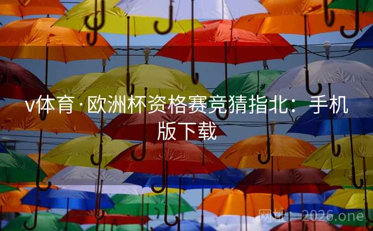 v体育·欧洲杯资格赛竞猜指北：手机版下载  第2张