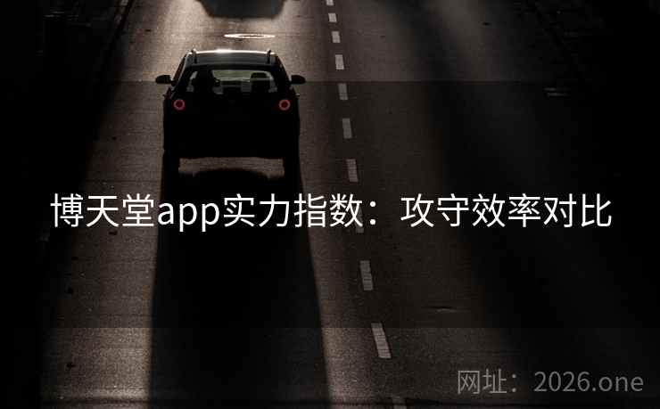 博天堂app实力指数：攻守效率对比  第2张
