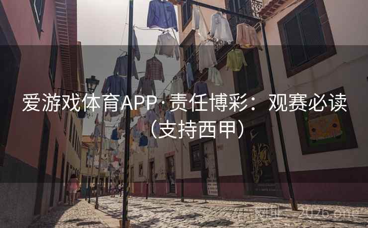 爱游戏体育APP·责任博彩：观赛必读（支持西甲）  第2张